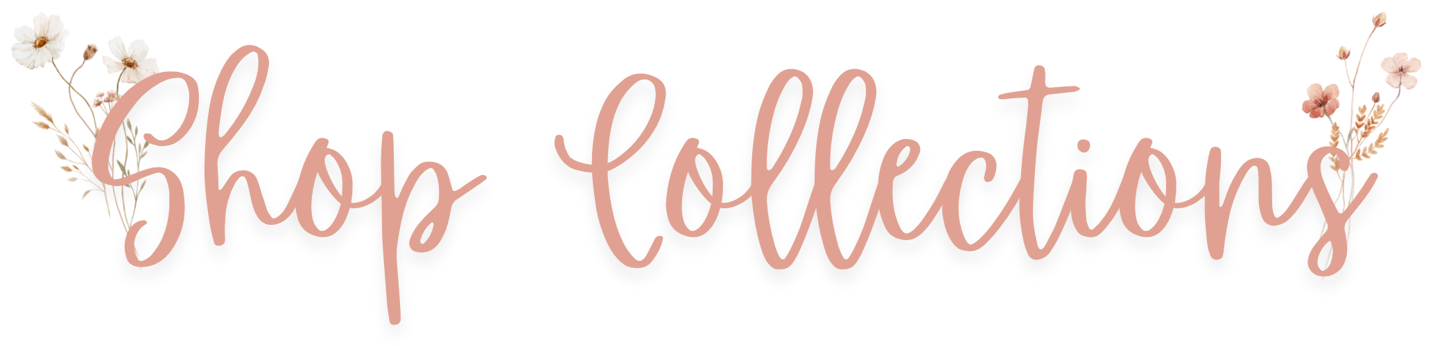 shop collections